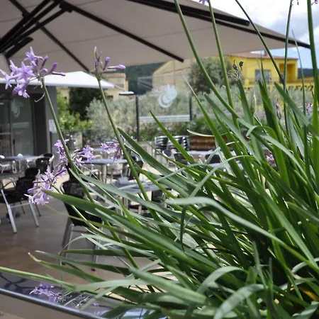 赫罗纳帕劳酒店 桑特朱丽亚德拉米斯