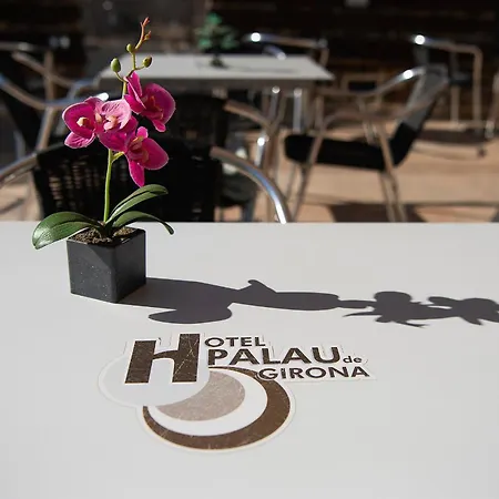 Palau De Girona Hotell